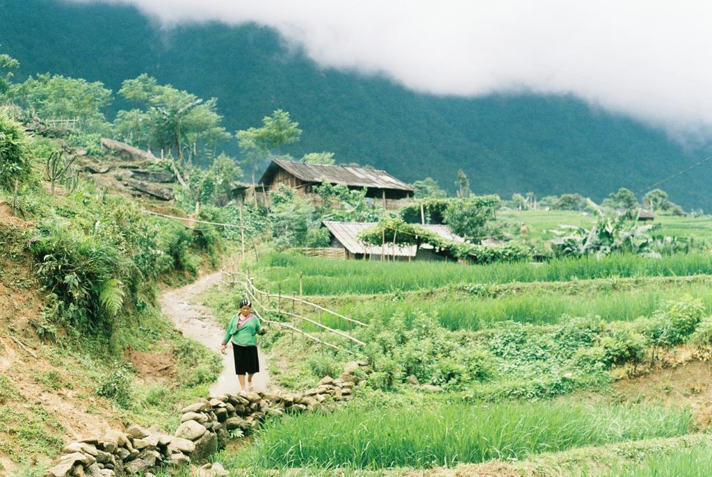 Joy House Sapa Apartment ภายนอก รูปภาพ